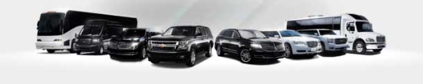 Alisha Limos fleet